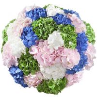 Букет «Фонтан» из 29 гортензий