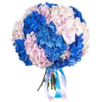 Большой букет из 15 гортензий