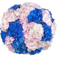 Большой букет из 15 гортензий