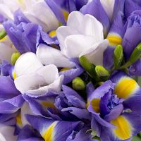 Букет «Таинственная»