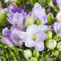 Букет «Весенний бал»