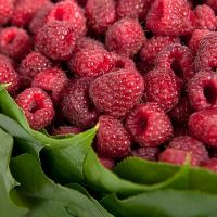 «Сладкое сердце»