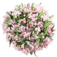 Букет «Санрайз»