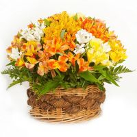 Композиция «Настроение»