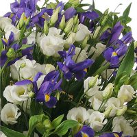 Корзина «Волшебство»