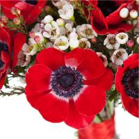 Букет «Рубины» 