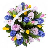 Композиция «Юность»