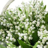 Композиция из 75 ландышей «Мой ангел»