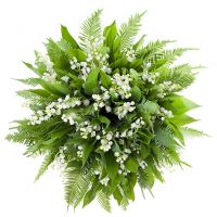 Букет из 51 ландыша «Безупречность»