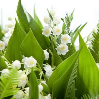 Букет из 51 ландыша «Безупречность»