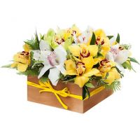 Композиция «Созвездие»