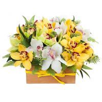 Композиция «Созвездие»