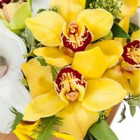 Композиция «Созвездие»