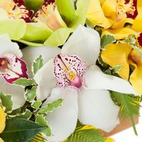 Композиция «Созвездие»