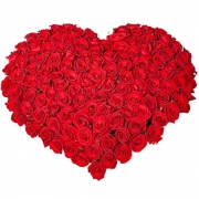 Сердце из 101 розы 