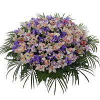 Композиция «Океан»