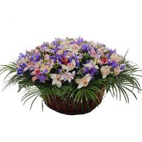 Композиция «Океан»