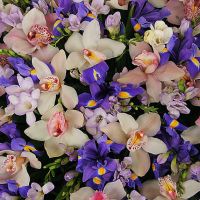 Композиция «Океан»