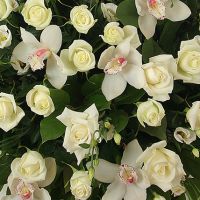 Композиция «Симфония №3»