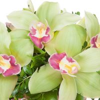 Композиция «Малышка»