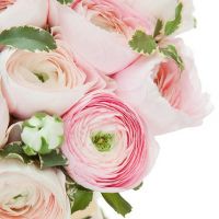 Букет «Элеганс» из 29 ранункулюсов