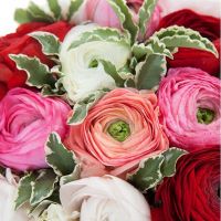 Букет «Фруктовый морс»