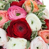 Букет «Фруктовый морс»