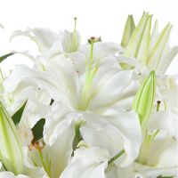 Букет «Чистые чувства»