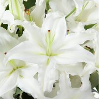 Букет «Чистые чувства»