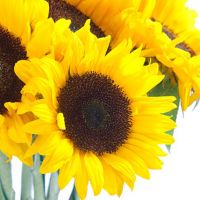 Букет «Летний»