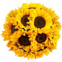 Букет «Мексиканка»