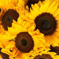 Букет «Мексиканка»