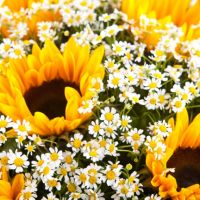 Букет «Летний наряд»