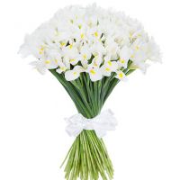 Букет из 51 ириса белого