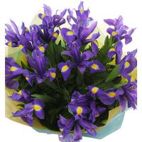 Букет «Гуашь»