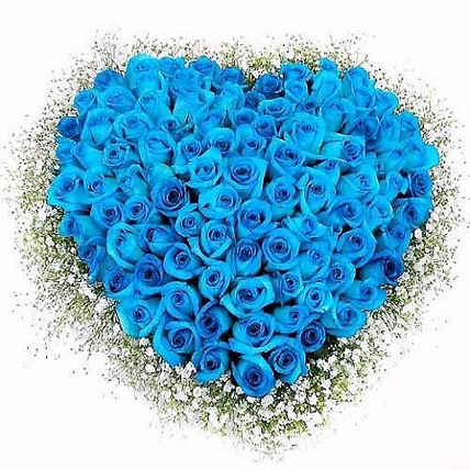 Сердце из 101 синей розы