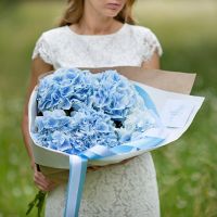 5 голубых гортензий с оформлением