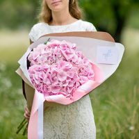 5 розовых гортензий с оформлением