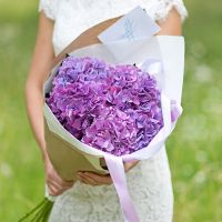 5 фиолетовых гортензий с оформлением