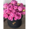 Фиолетовые пионовидные розы в коробке Small