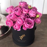 Фиолетовые пионовидные розы в коробке Small