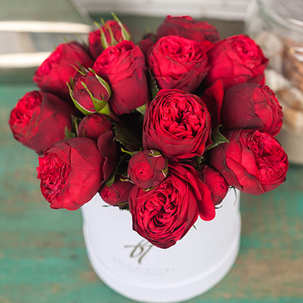 Пионовидные розы «Ред пиано» в коробке Small
