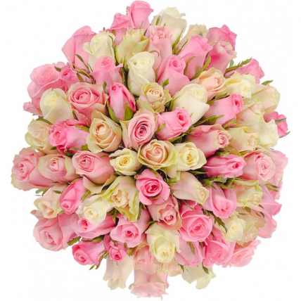 101 роза бело-розовая (40 см)