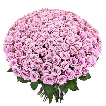 101 фиолетовая роза (40 см)