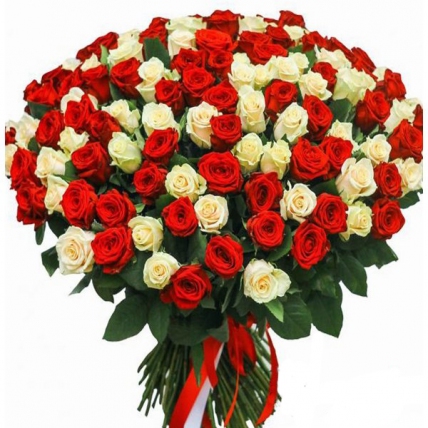 201 роза красно-белая (40 см)