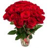 25 красных роз (40 см)