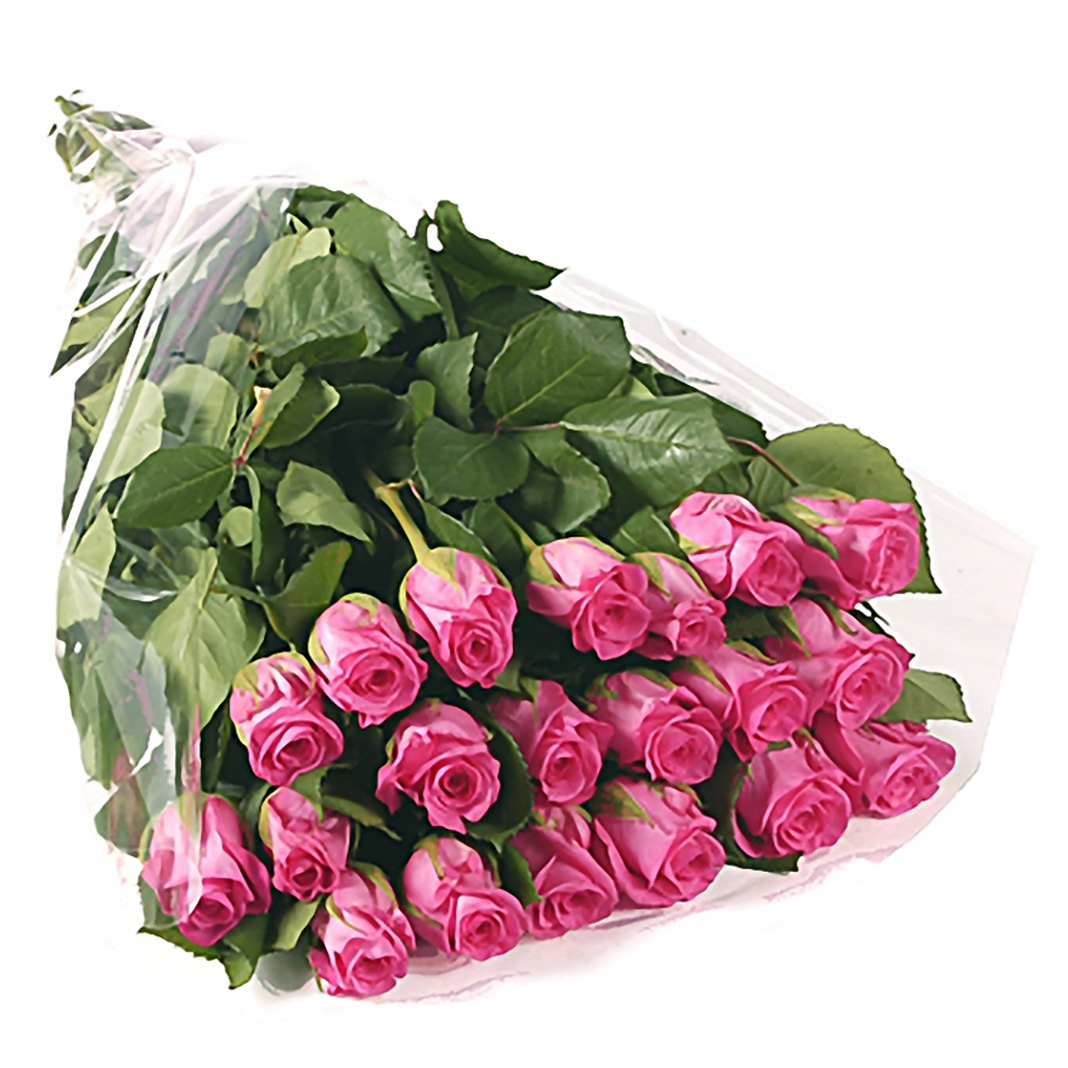 25 розовых роз (40 см)