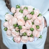 Пионовидные розы «Бомбастик» в белой коробке Small