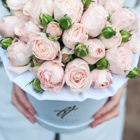 Пионовидные розы «Бомбастик» в белой коробке Small