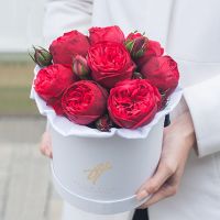 Пионовидные розы «Ред пиано» в белой коробке Small